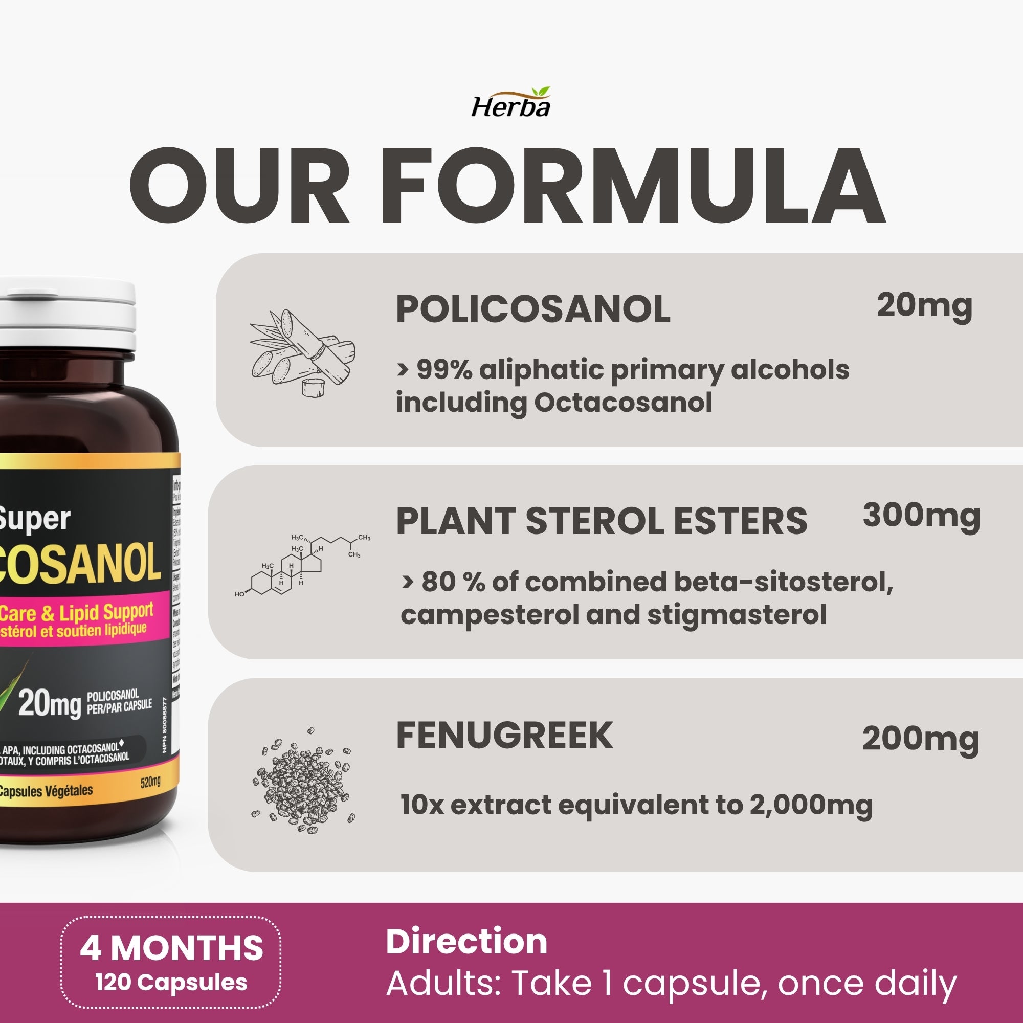 Policosanol 20 mg avec fenugrec et esters de stérols végétaux - 120 gélules végétales