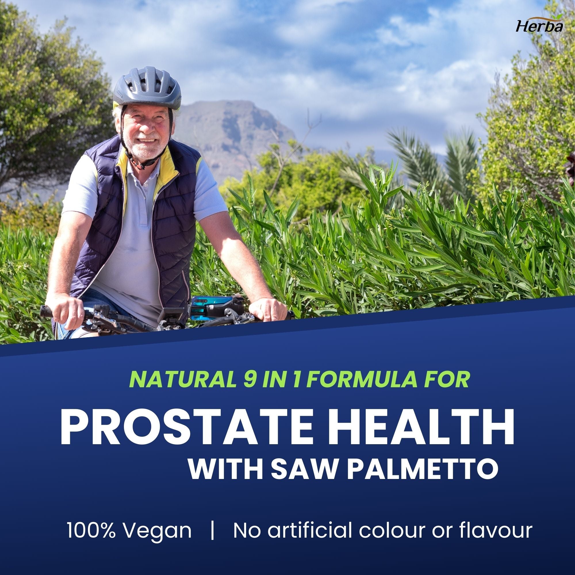 Prostate Max - Prostate Supplement for Men – 120 Capsules | 9 Natural Ingredients