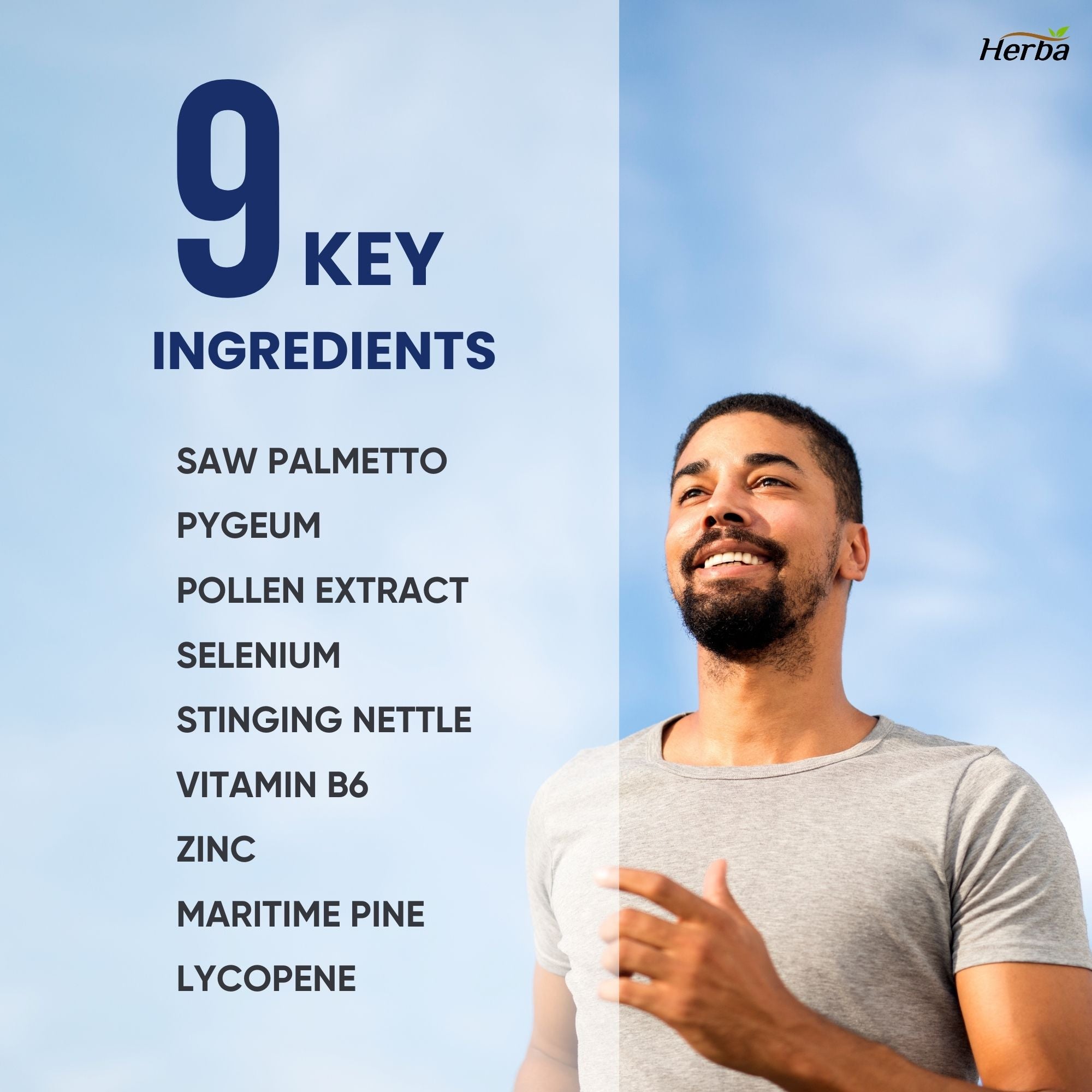 Prostate Max - Prostate Supplement for Men – 120 Capsules | 9 Natural Ingredients