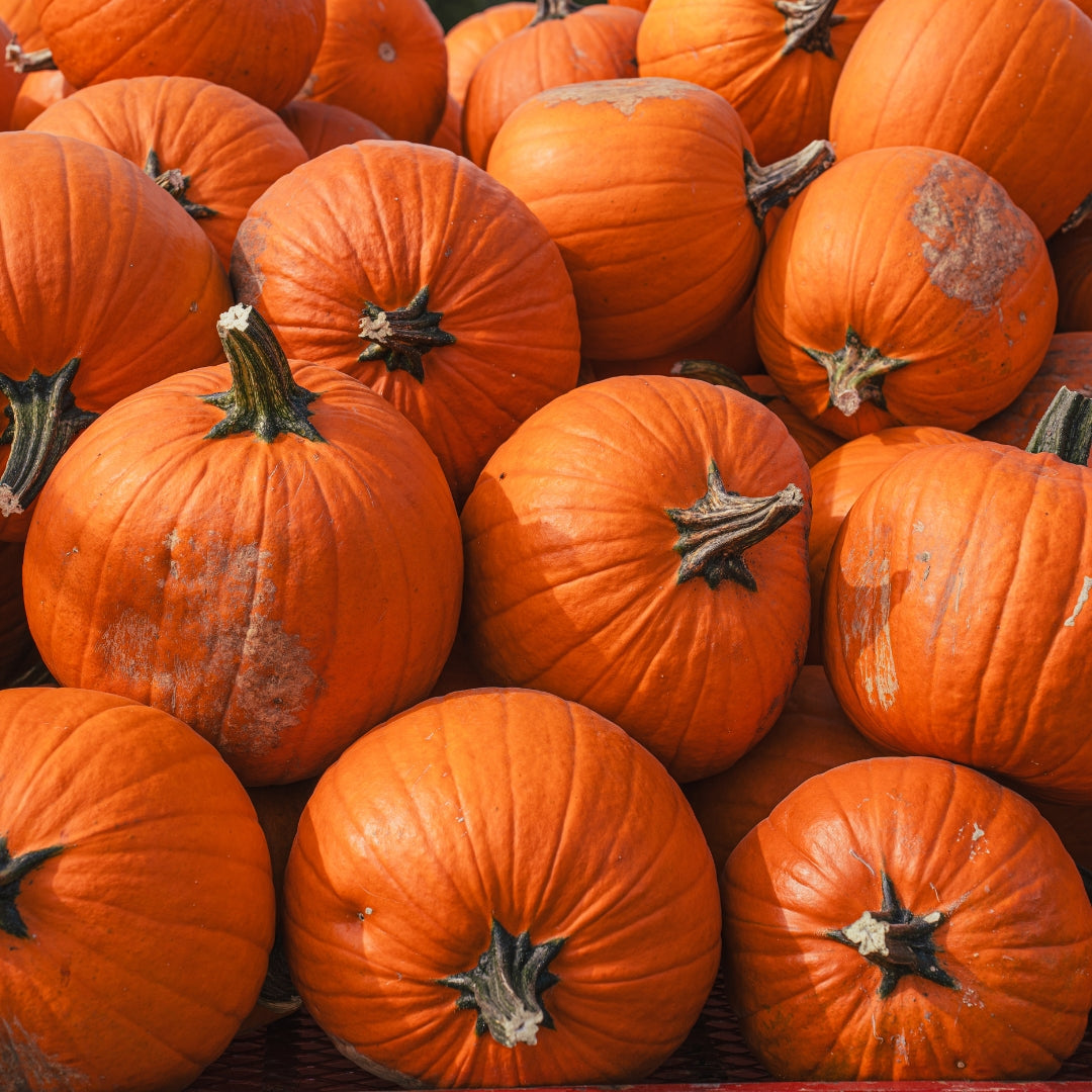 Pumpkin Seed Oil