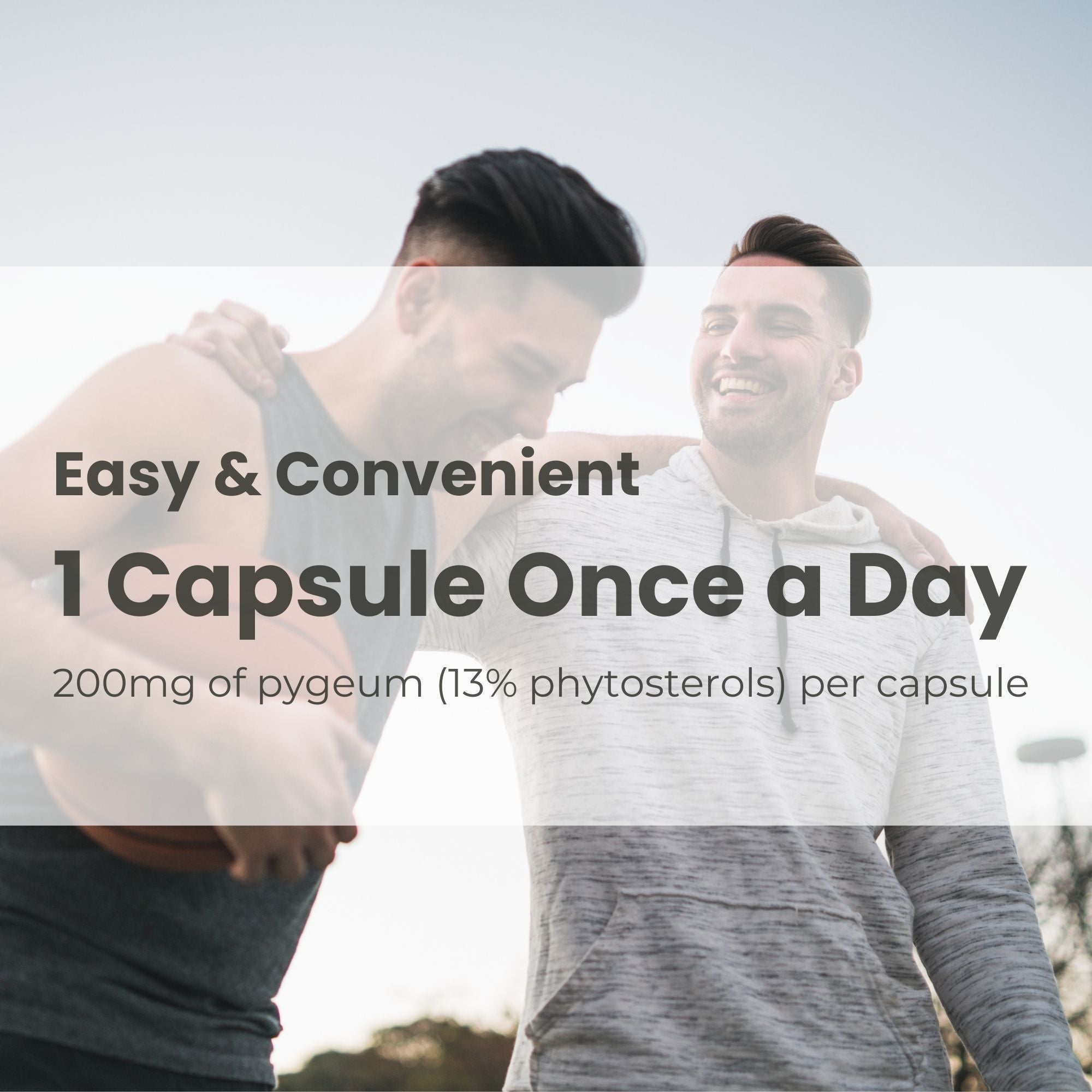 Pygeum Supplement 200mg – 100 Capsules | Made in Canada