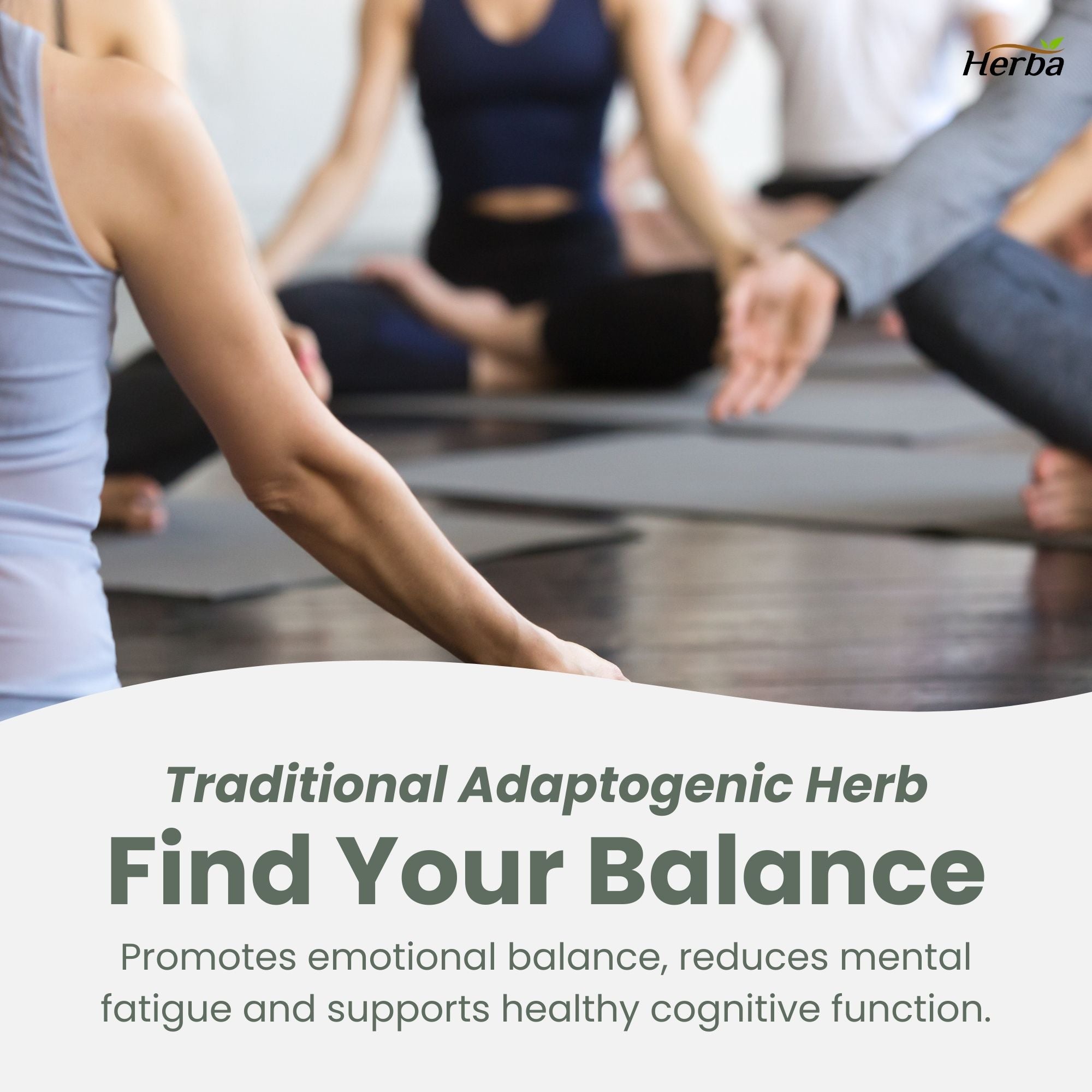 Rhodiola Rosea Supplement 200mg - 90 Vegetable Capsules | Made in Canada – 3% Rosavins and 1% Salidrosides