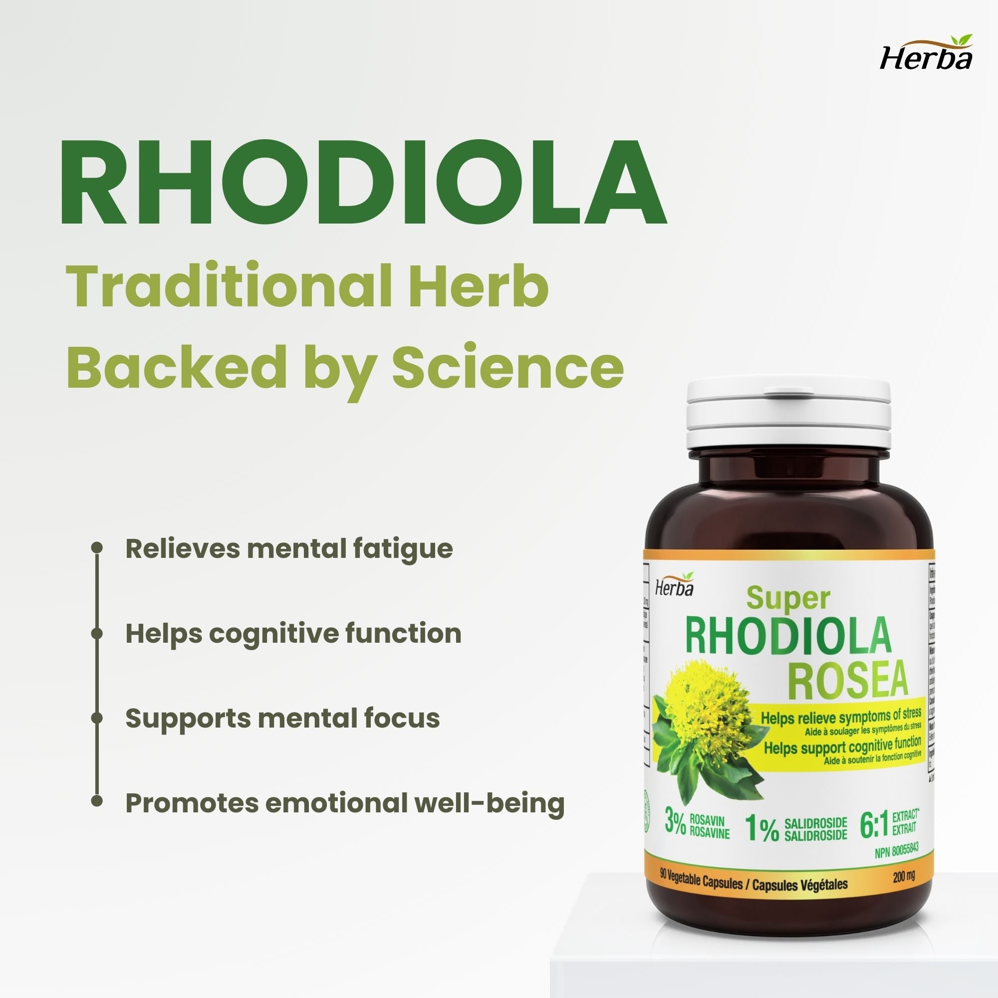 Rhodiola Rosea Supplement 200mg - 90 Vegetable Capsules | Made in Canada – 3% Rosavins and 1% Salidrosides