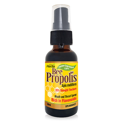 buy bee propolis  made in Canada