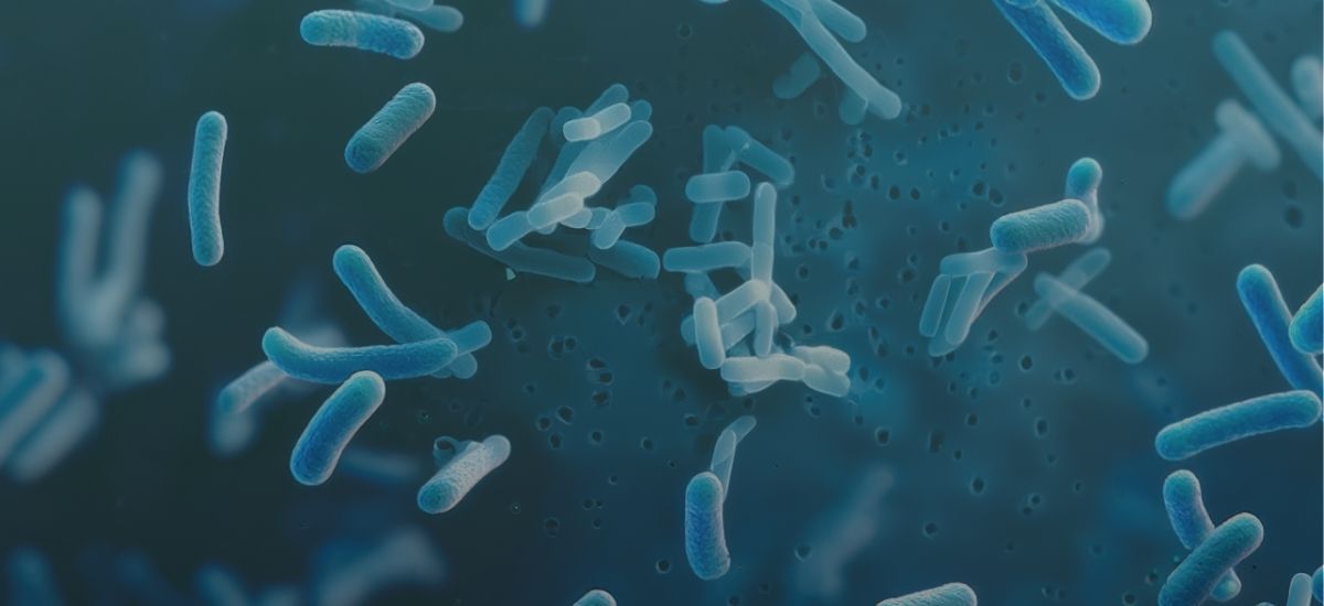 Probiotics