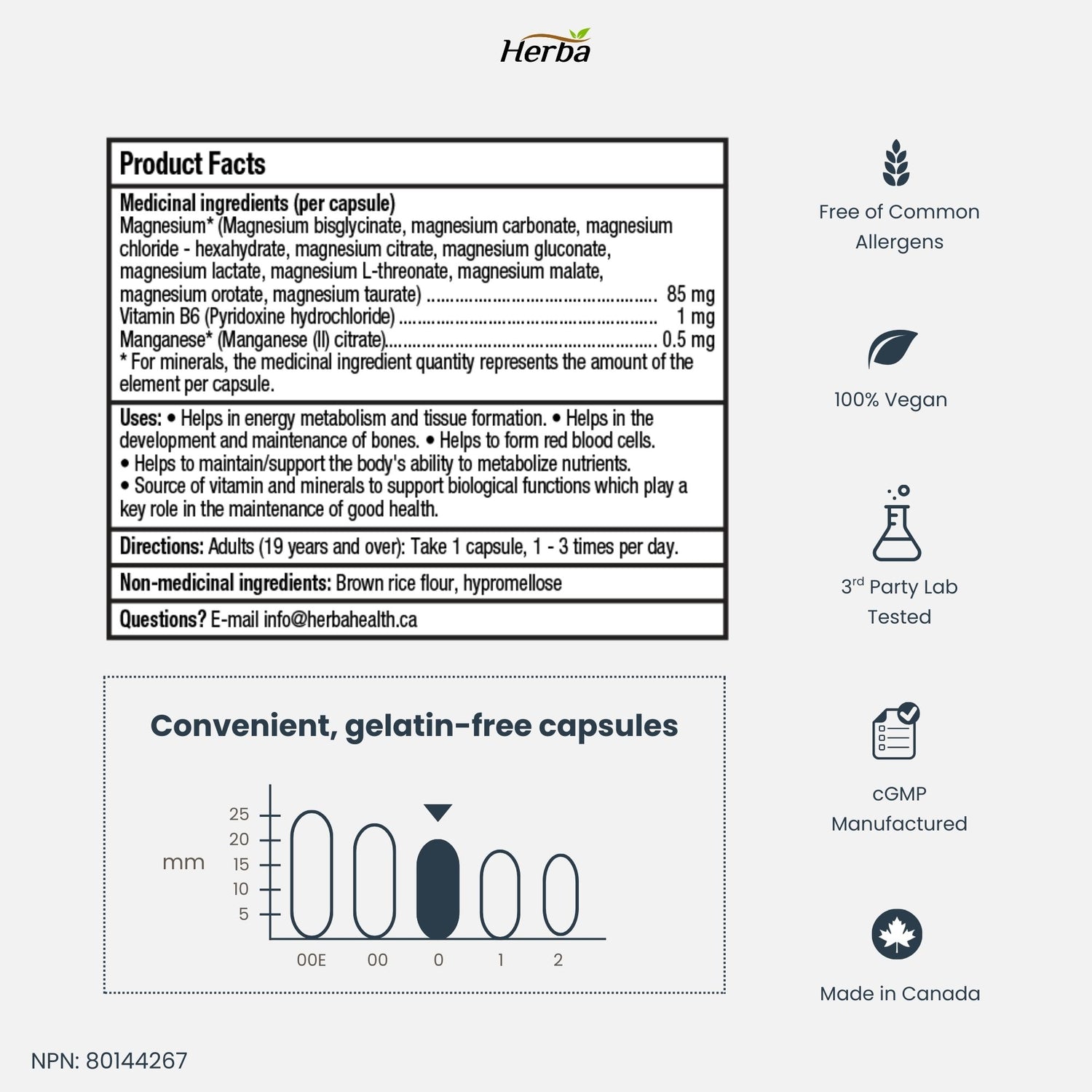 Complexe de Magnésium 10 en 1 – 180 Capsules | Sans oxyde de magnésium | Fabriqué au Canada