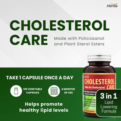 Soin Cholestérol – 120 Gélules Végétales