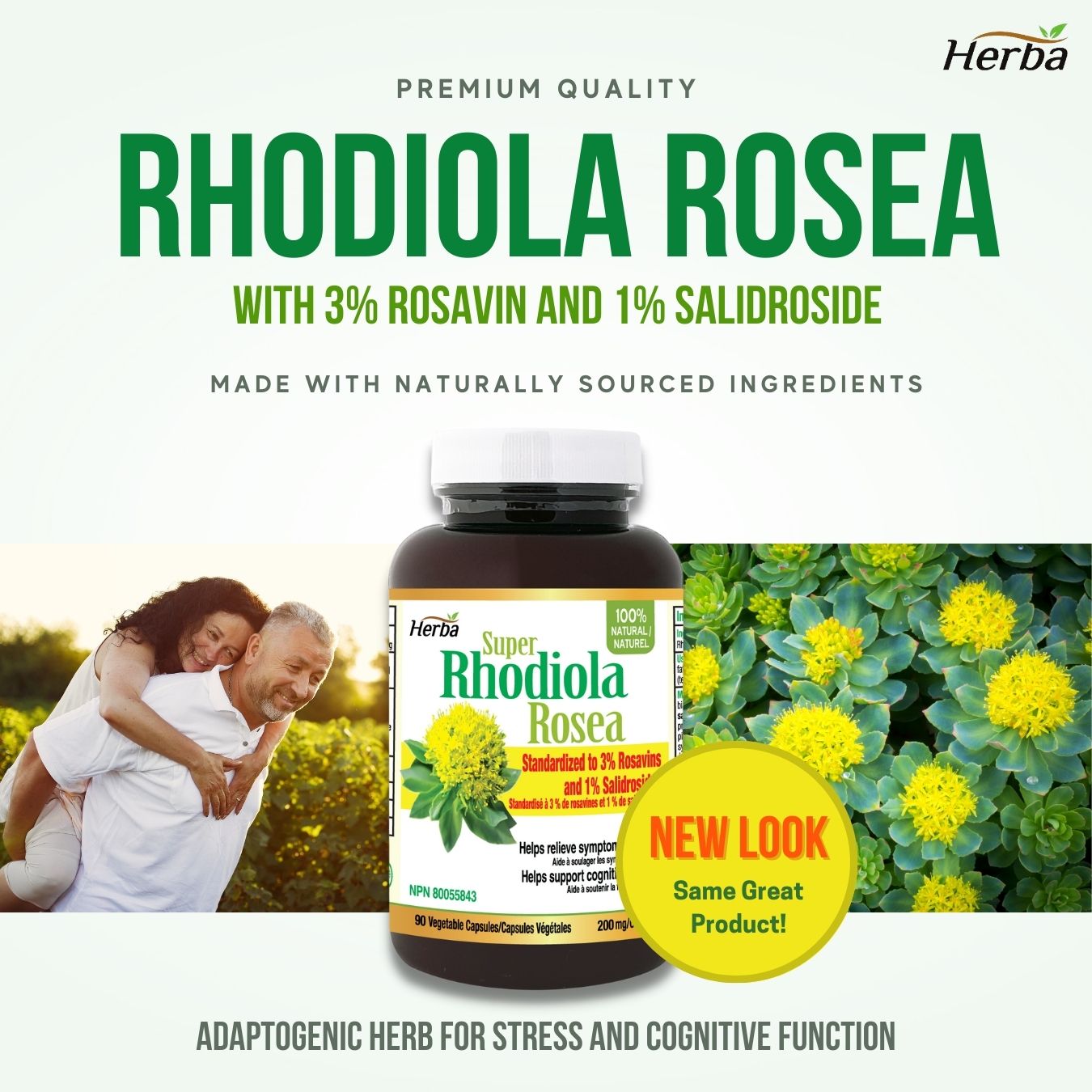 Herba Rhodiola Rosea Supplement 200mg - 90 Vegetable Capsules | 100% Natural Rhodiola Capsules – 3% Rosavins and 1% Salidrosides