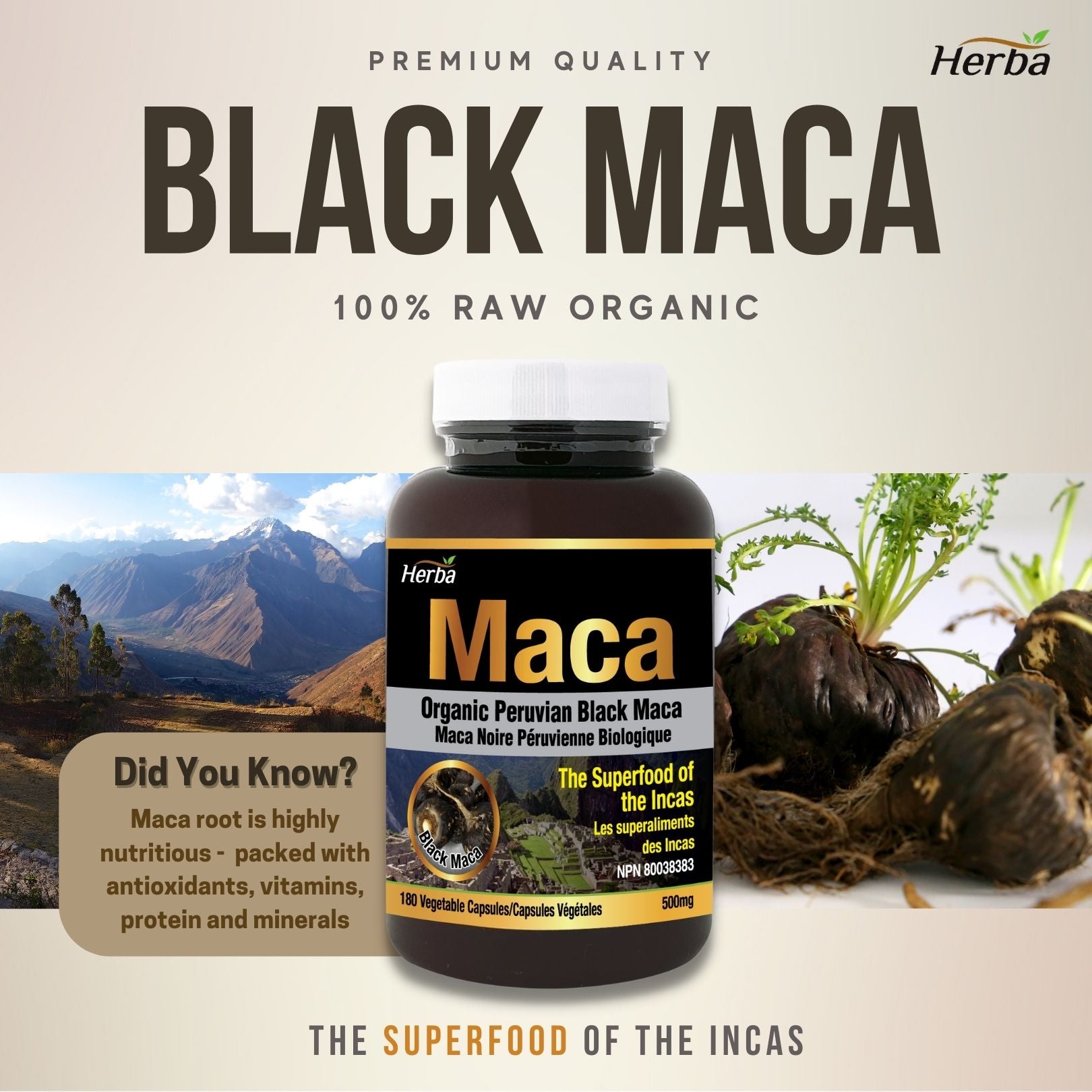 Herba Organic Black Maca Capsules - 500mg, 180 Capsules | Peruvian Black Maca