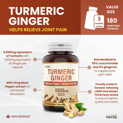 Turmeric with Black Pepper and Ginger - 180 Capsules | 5555mg Equivalent | Made in Canada
