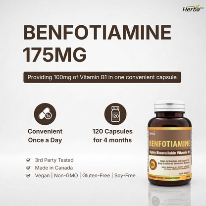 Benfotiamine 100mg - 120 capsules | Vitamine B1 liposoluble | Fabriqué au Canada