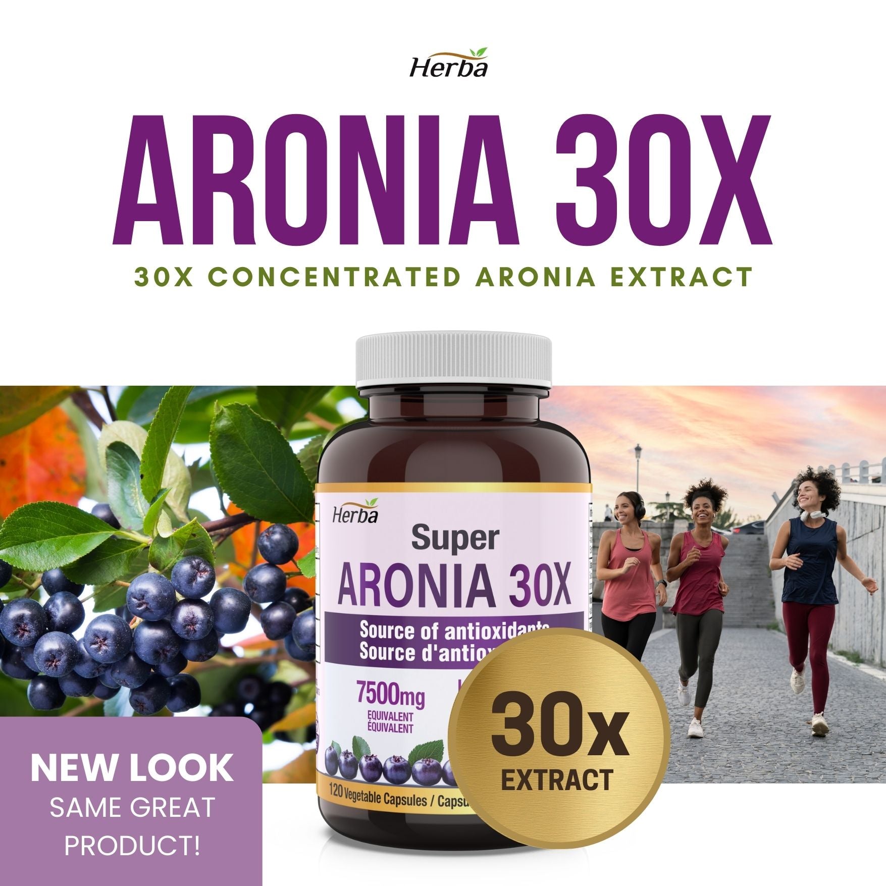 Aronia Berry Extract 250mg – 120 Capsules | 7500mg Fruit Equivalent | 30:1 Aronia Extract Supplement