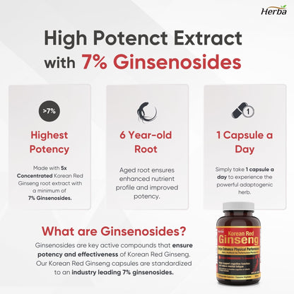 Korean Red Ginseng Extract Capsules – 5:1, 2500mg Equivalent | 120 Vegetable Capsules