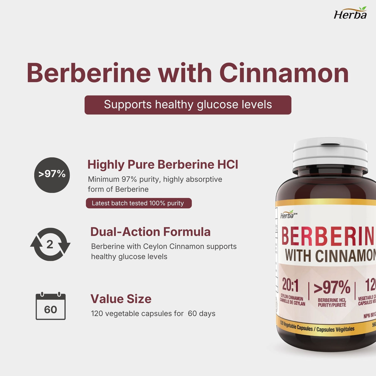 Supplément de Berbérine à la Cannelle de Ceylan – 120 Gélules | Bérberine 1000mg (par portion) | Fabriqué au Canada