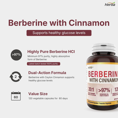 Supplément de Berbérine à la Cannelle de Ceylan – 120 Gélules | Bérberine 1000mg (par portion) | Fabriqué au Canada