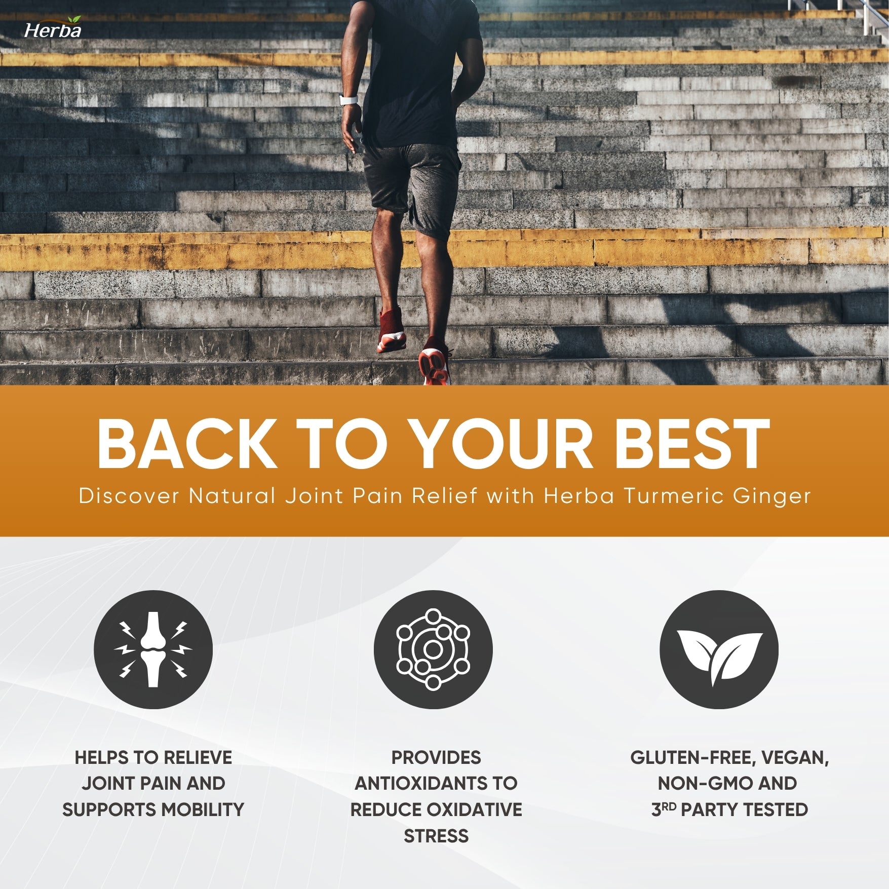 Turmeric with Black Pepper and Ginger - 180 Capsules | 5555mg Equivalent | Made in Canada