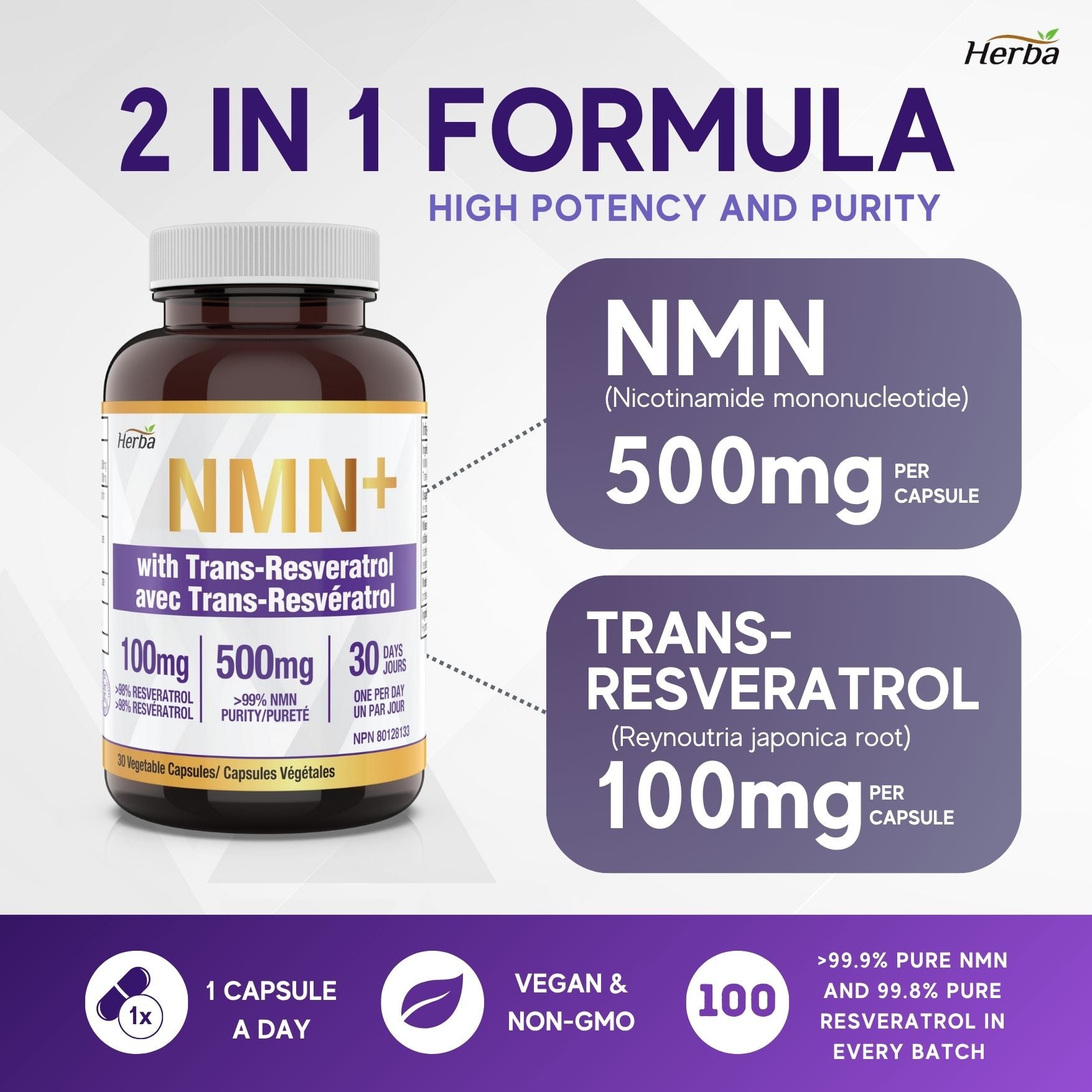NMN Supplement + Resveratrol - 600mg | Made in Canada | 30 Vegetable Capsules