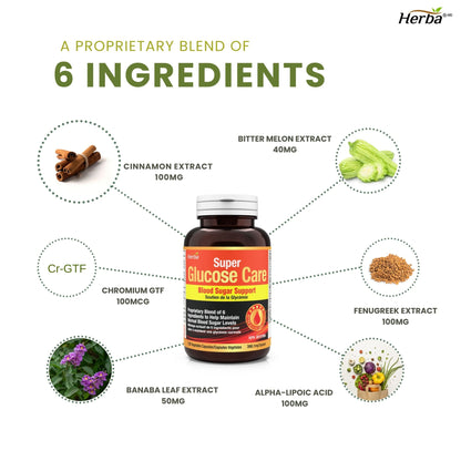 Glucose Care - 120 Capsules | Blood Sugar Support with 6 Ingredients