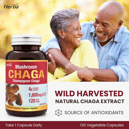Gélules de champignon Chaga 400 mg - 120 gélules végétales | Concentré élevé 4:1