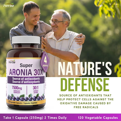 Aronia Berry Extract 250mg – 120 Capsules | 7500mg Fruit Equivalent | 30:1 Aronia Extract Supplement