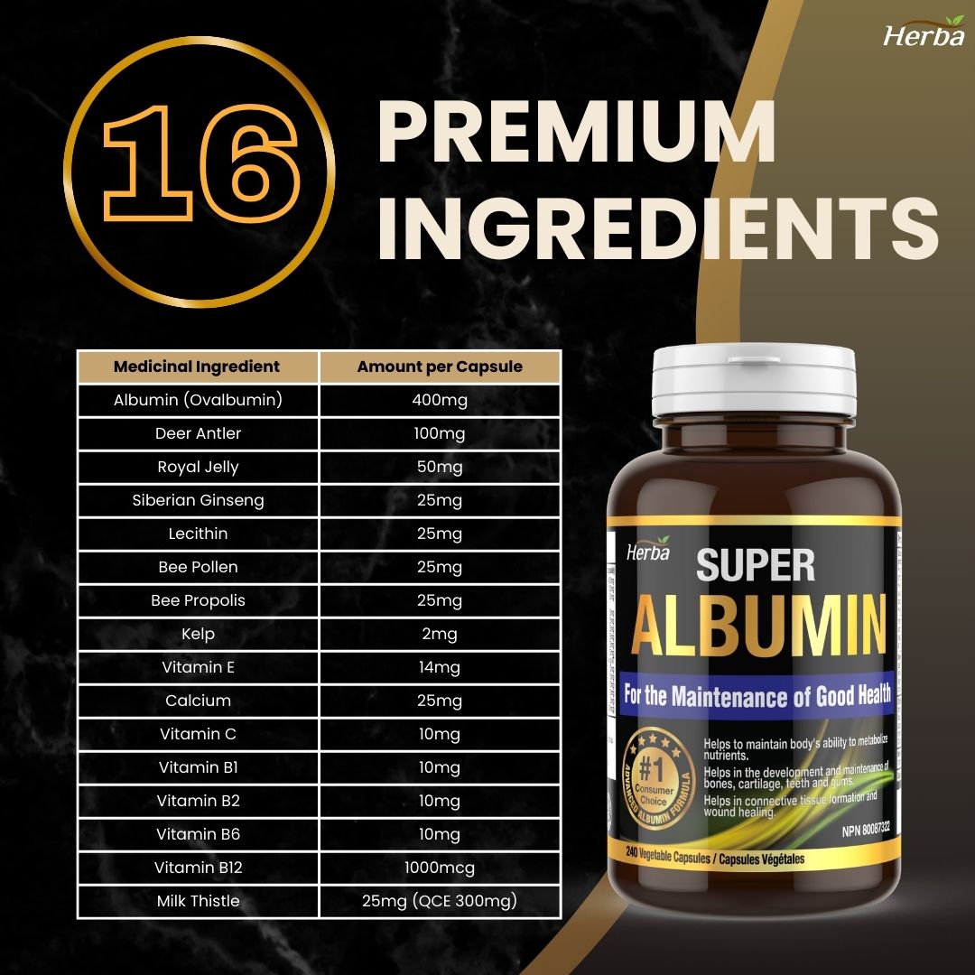 Albumin Protein Supplement – 240 Vegetable Capsules | Albumin Capsules with 16 Premium Ingredients