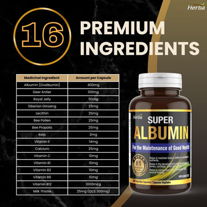 Albumin Protein Supplement – 240 Vegetable Capsules | Albumin Capsules with 16 Premium Ingredients