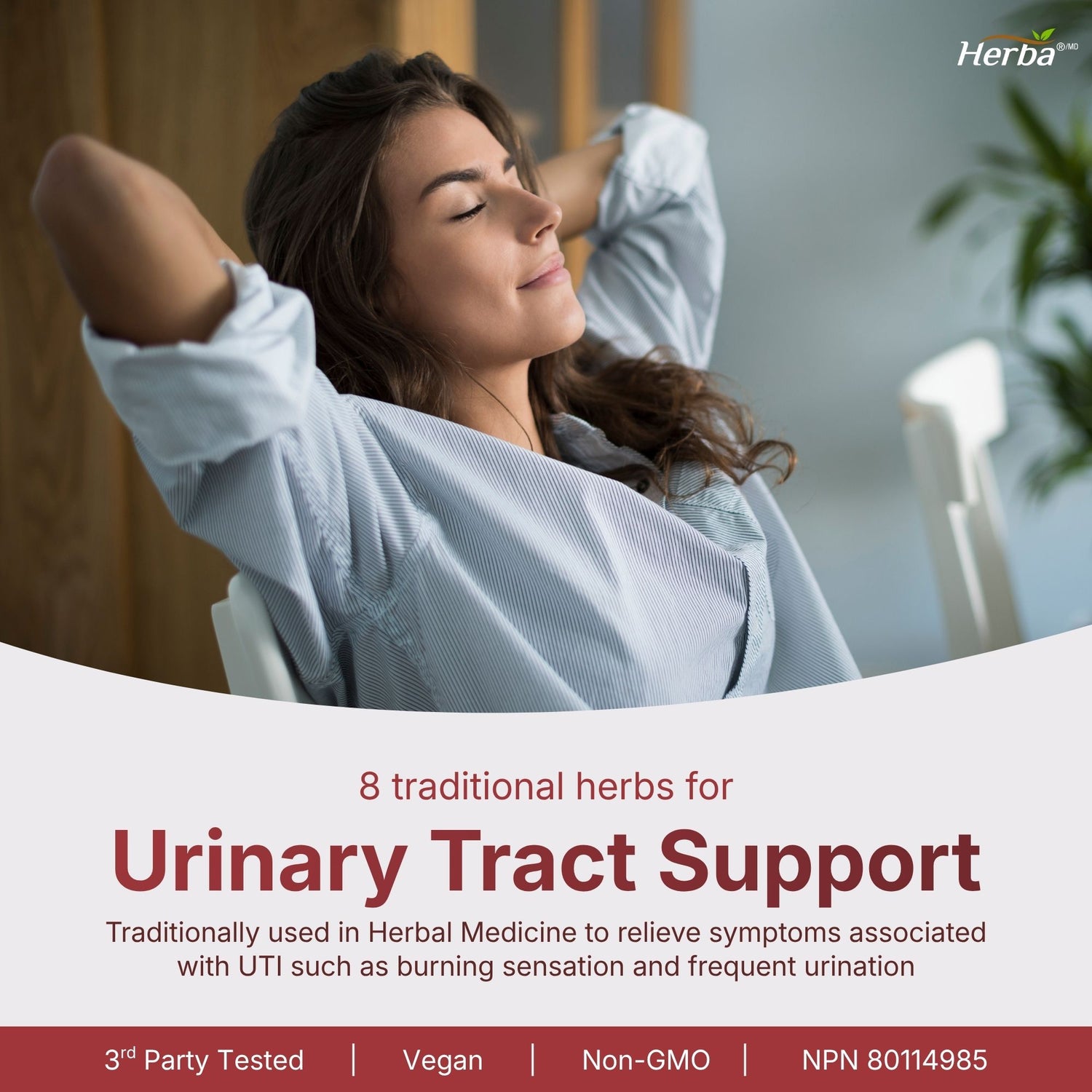 Kidney Cleanse Supplement – 120 Capsules | 8 Natural Ingredients to Support Kidney and Bladder Health