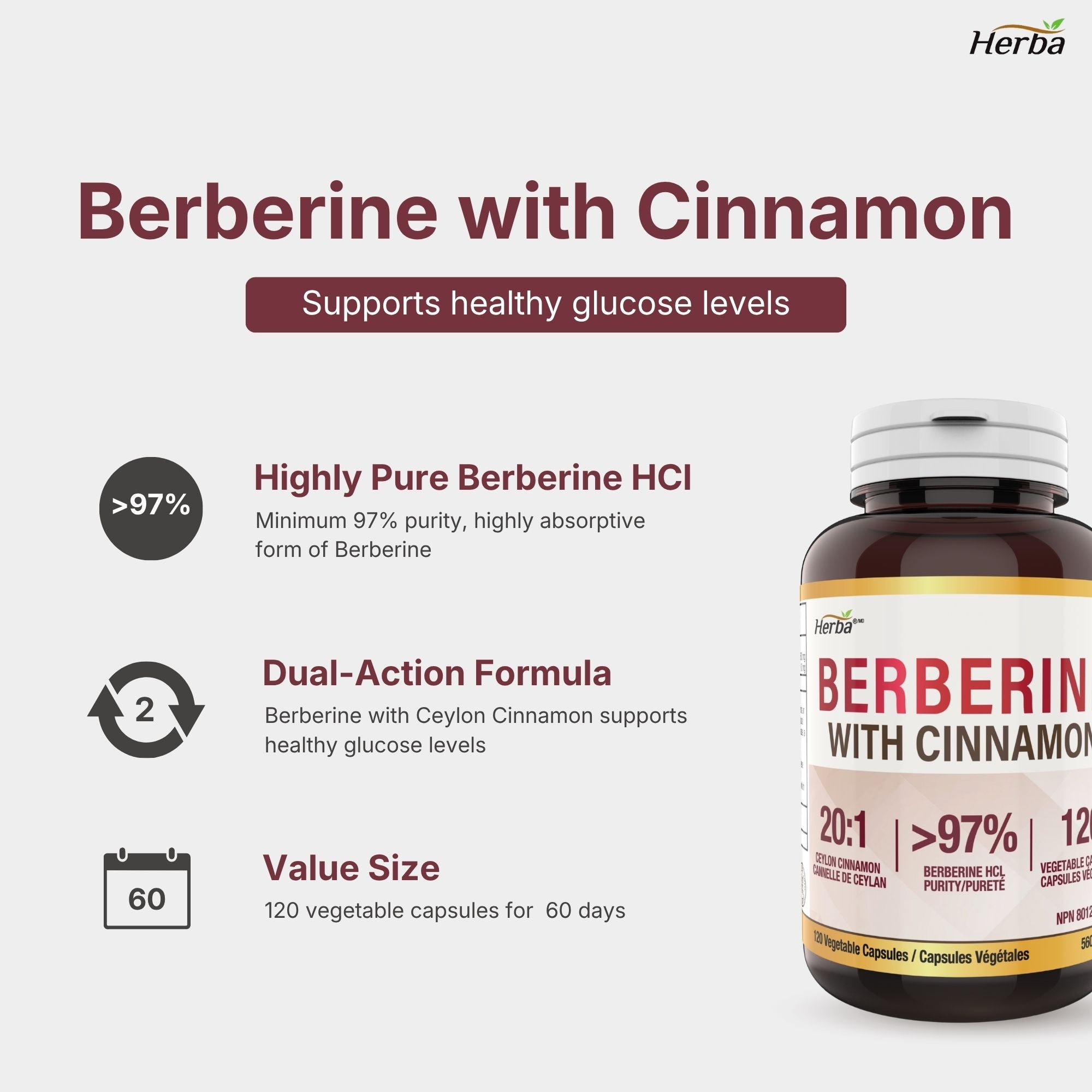 Supplément de Berbérine à la Cannelle de Ceylan – 120 Gélules | Bérberine 1000mg (par portion) | Fabriqué au Canada