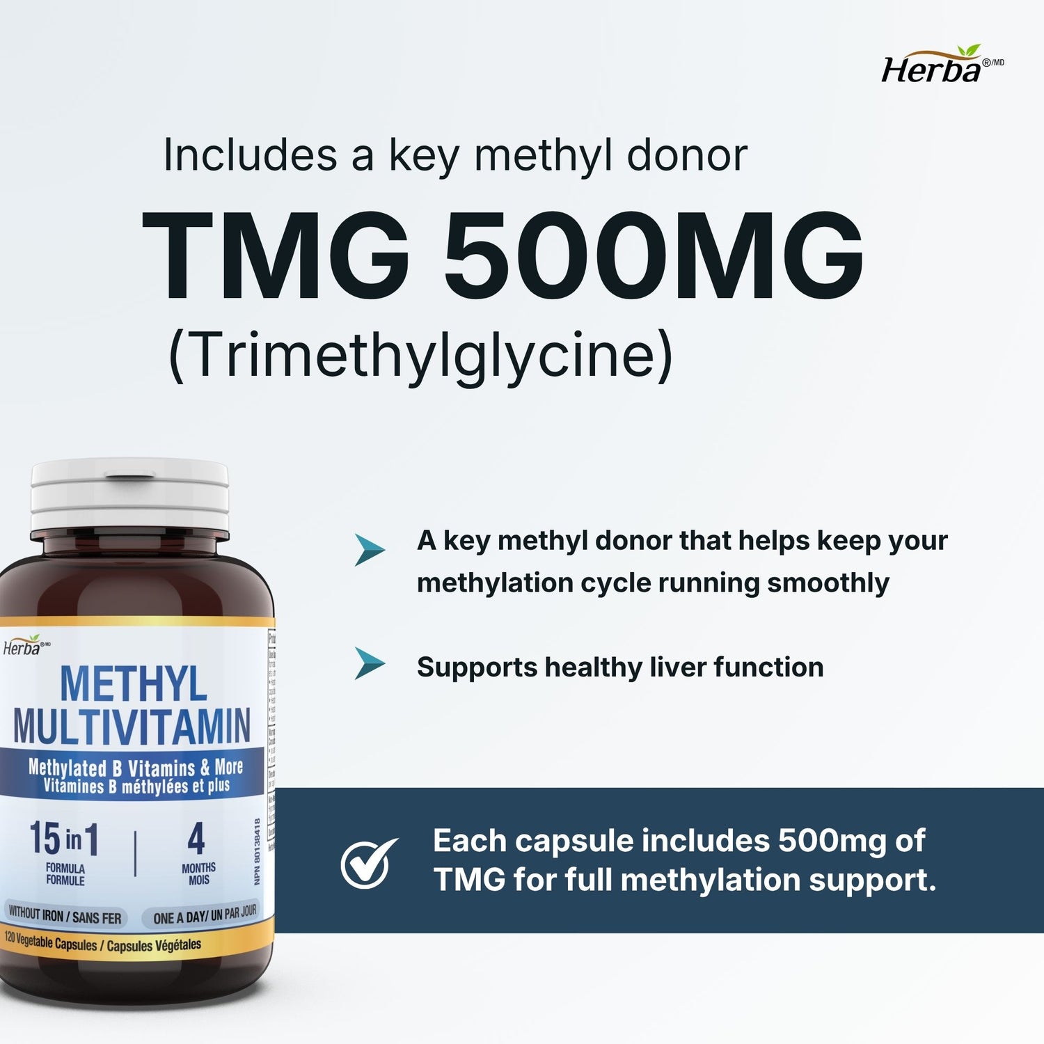 Multivitamine méthylée avec TMG et complexe B méthylé complet - 120 capsules | Formule 15 en 1 | Fabriqué au Canada