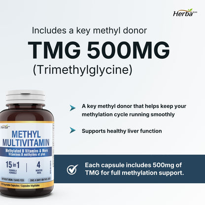 Multivitamine méthylée avec TMG et complexe B méthylé complet - 120 capsules | Formule 15 en 1 | Fabriqué au Canada
