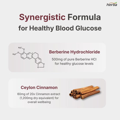 Supplément de Berbérine à la Cannelle de Ceylan – 120 Gélules | Bérberine 1000mg (par portion) | Fabriqué au Canada