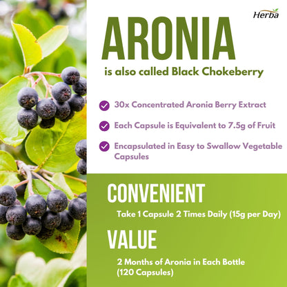 Aronia Berry Extract 250mg – 120 Capsules | 7500mg Fruit Equivalent | 30:1 Aronia Extract Supplement