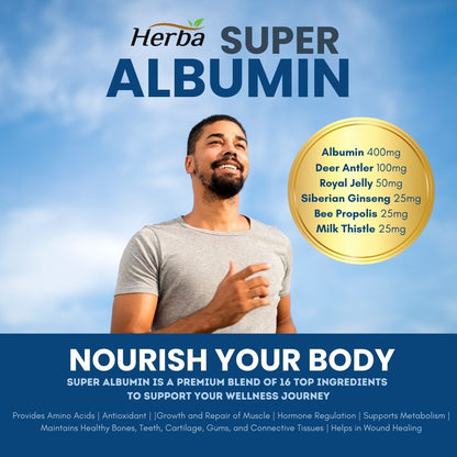 Albumin Protein Supplement – 240 Vegetable Capsules | Albumin Capsules with 16 Premium Ingredients