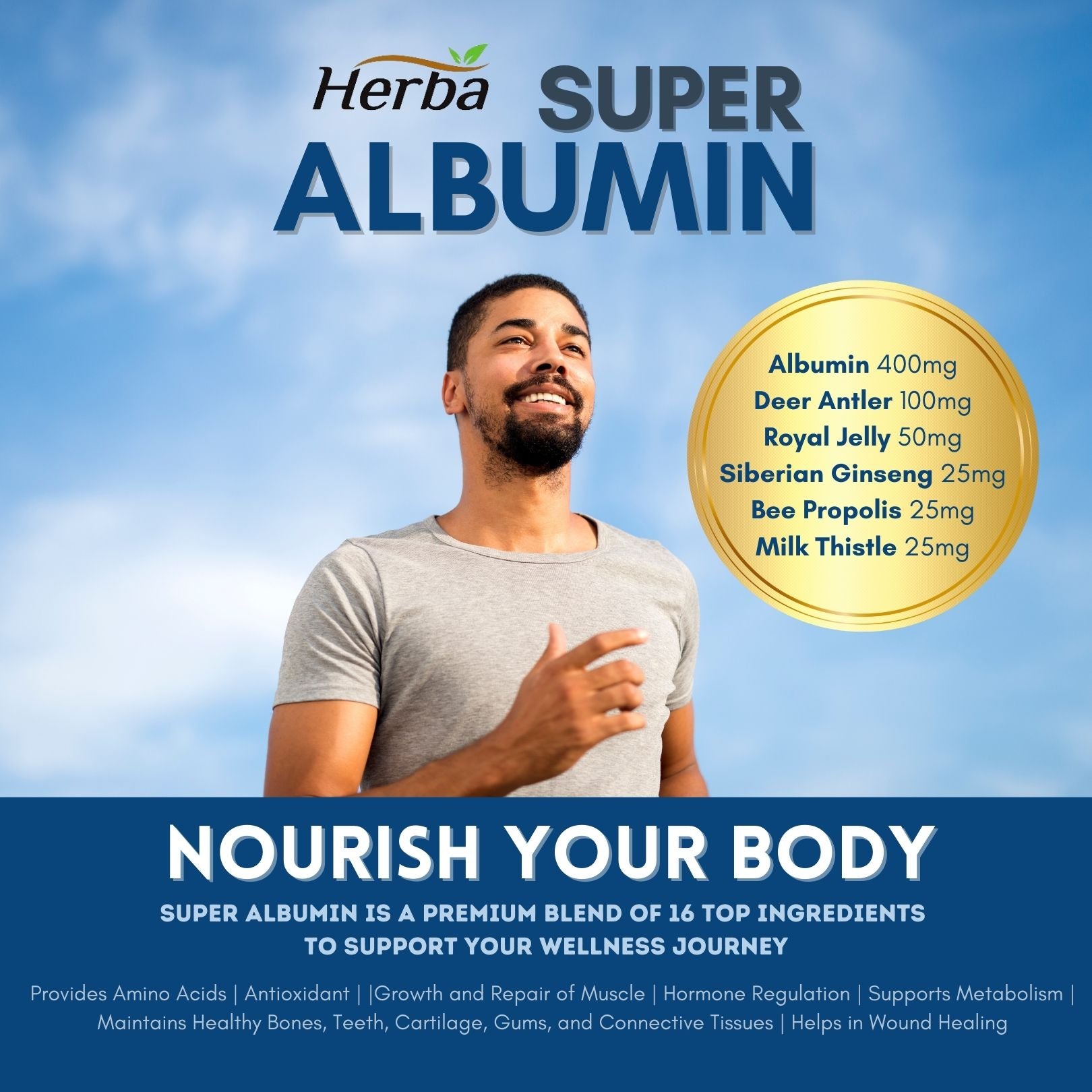 Herba Albumin Protein Supplement – 240 Vegetable Capsules | Albumin Capsules with 16 Ingredients Including Deer Antler &amp; Royal Jelly