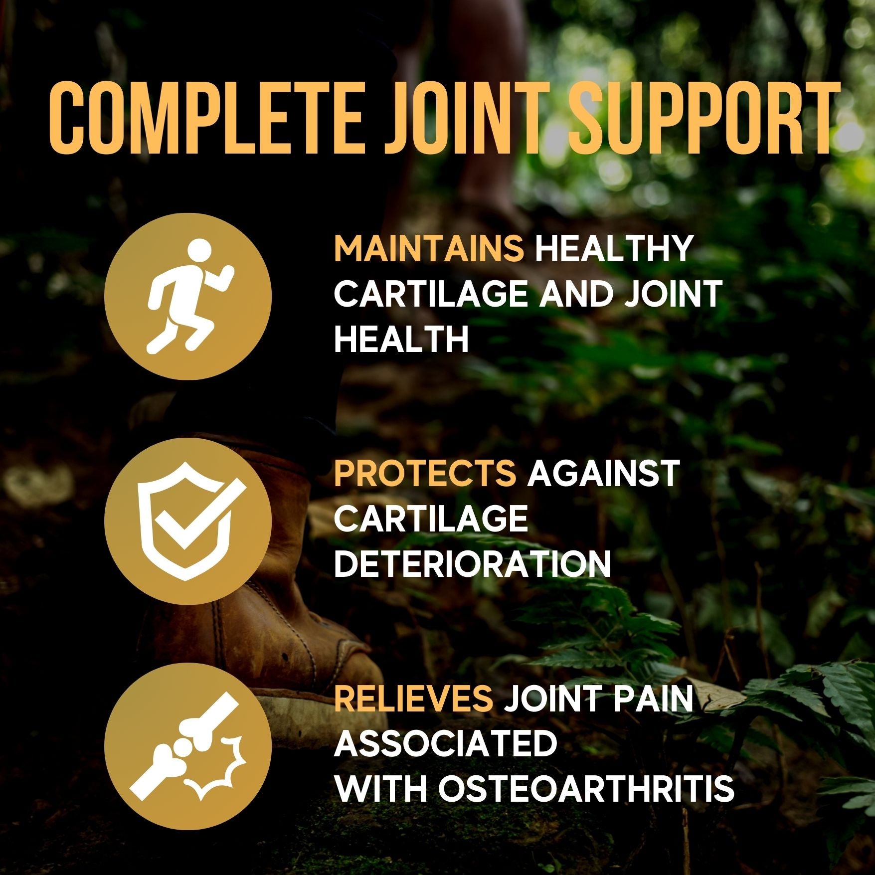Joint Care Supplement with Glucosamine Chondroitin MSM Capsules – 180 Capsules