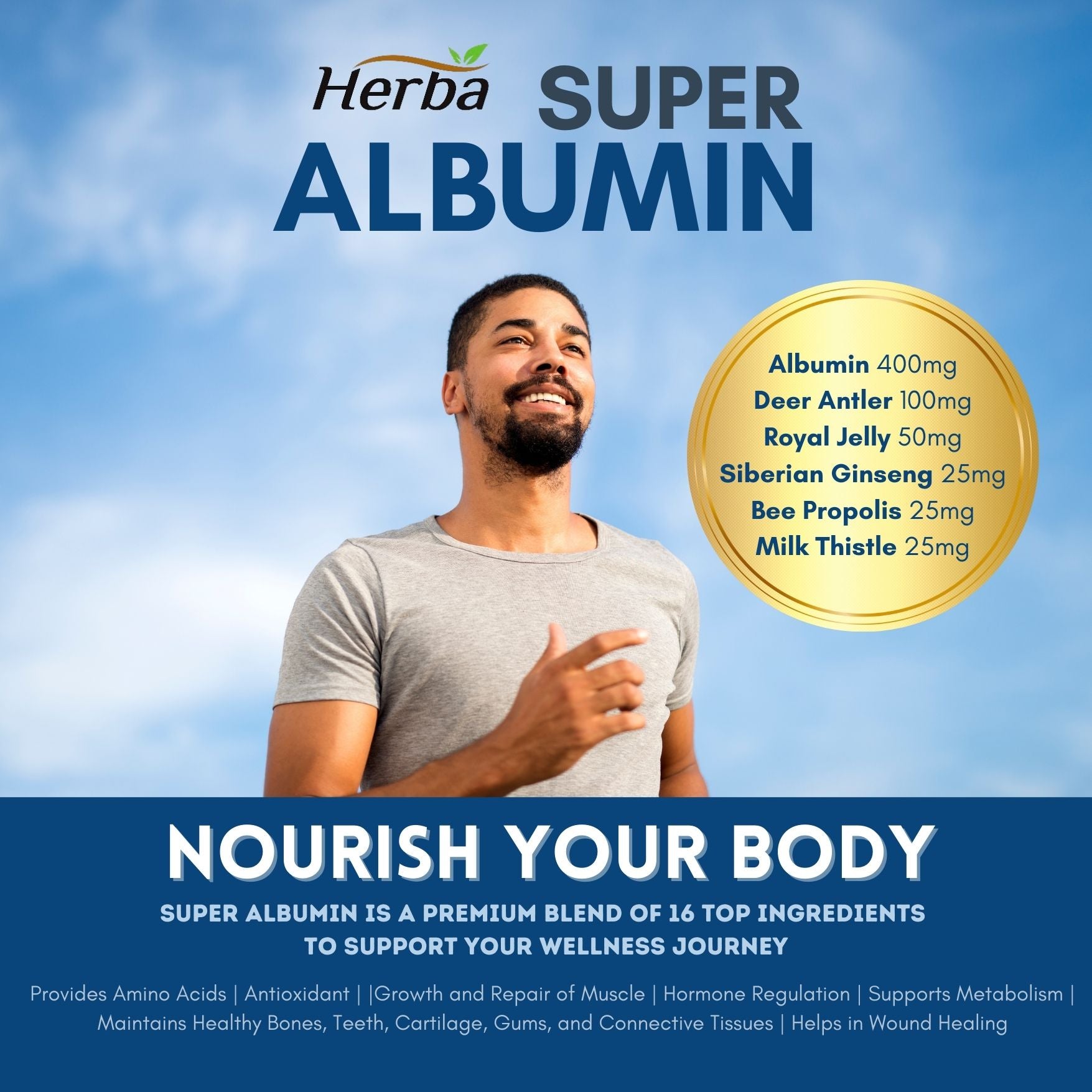 Albumin Protein Supplement – 240 Vegetable Capsules | Albumin Capsules with 16 Premium Ingredients