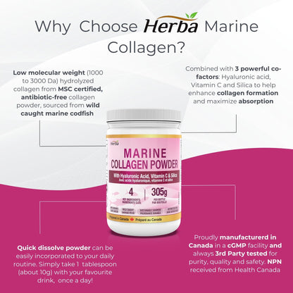 Marine Collagen Powder with Hyaluronic Acid, Silica, and Vitamin C – 305g (New) | Made in Canada
