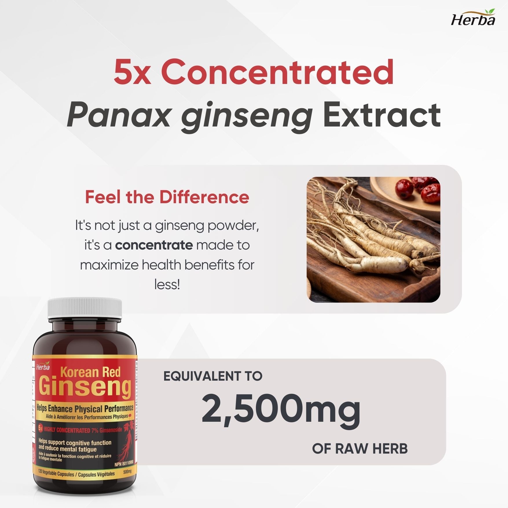 Korean Red Ginseng Extract Capsules – 5:1, 2500mg Equivalent | 120 Vegetable Capsules