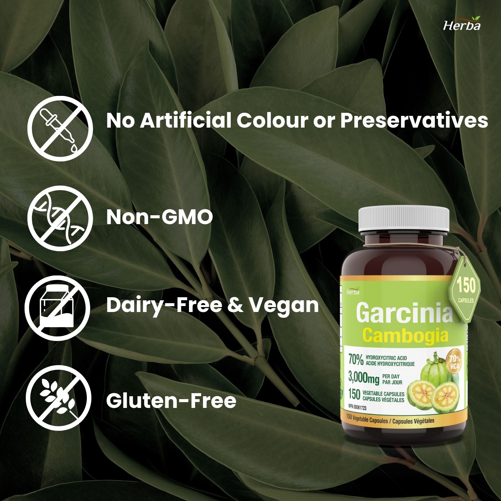 Garcinia Cambogia Extract – 70% HCA  | 150 Vegetable Capsules