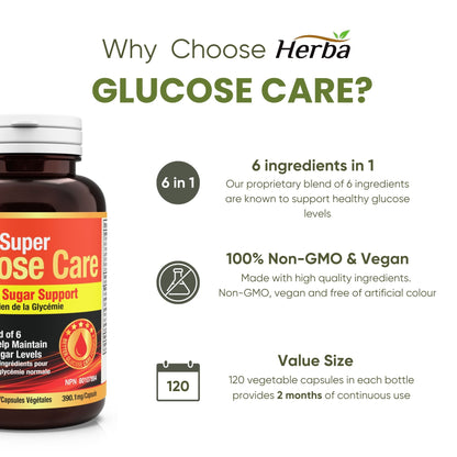 Glucose Care - 120 Capsules | Blood Sugar Support with 6 Ingredients