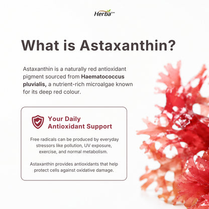 Astaxanthin Supplement 15mg - 60 Softgels | Made in Canada