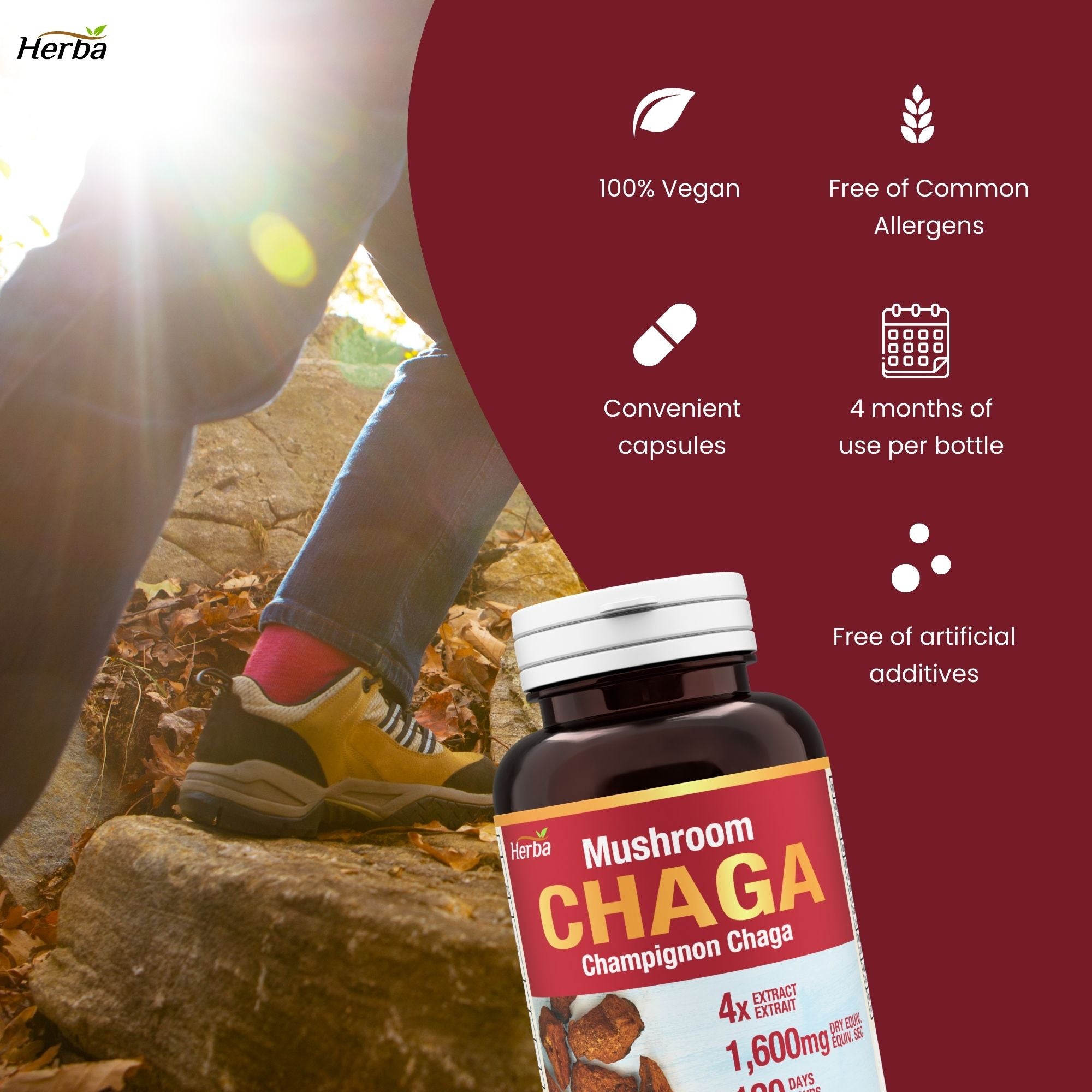 Gélules de champignon Chaga 400 mg - 120 gélules végétales | Concentré élevé 4:1