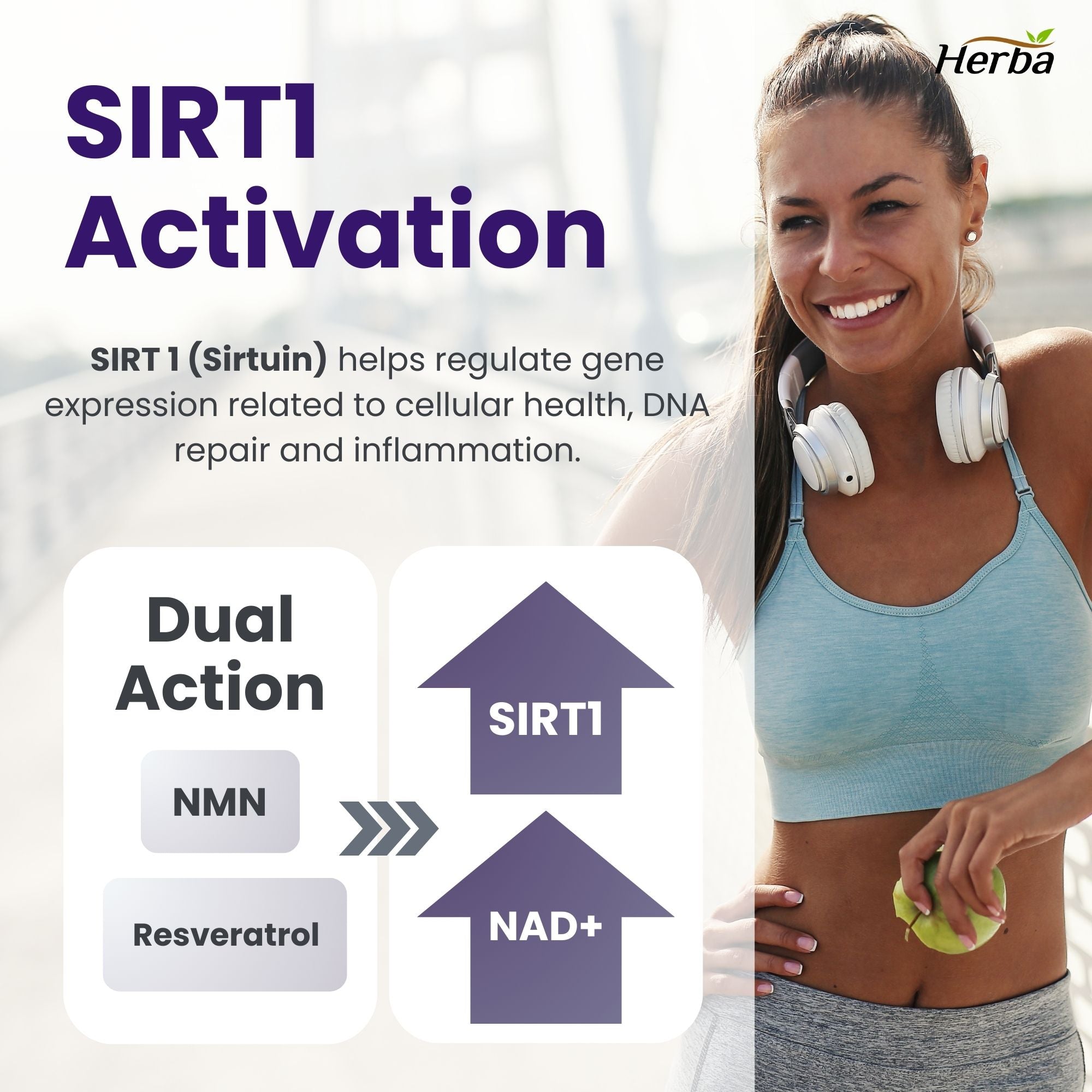 Supplément NMN + Resvératrol - 600 mg | Fabriqué au Canada | 60 Gélules Végétales