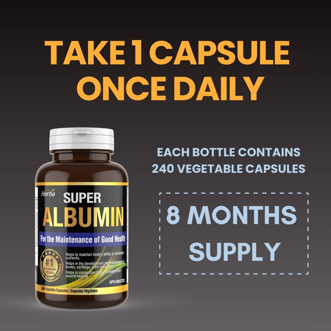 Albumin Protein Supplement – 240 Vegetable Capsules | Albumin Capsules with 16 Premium Ingredients