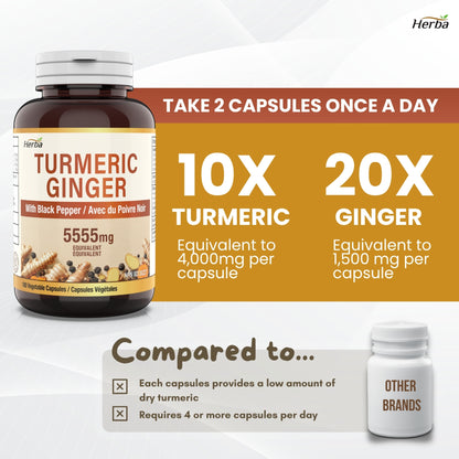 Turmeric with Black Pepper and Ginger - 180 Capsules | 5555mg Equivalent | Made in Canada