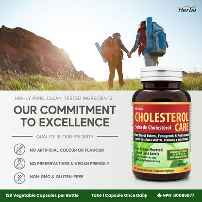 Soin Cholestérol – 120 Gélules Végétales