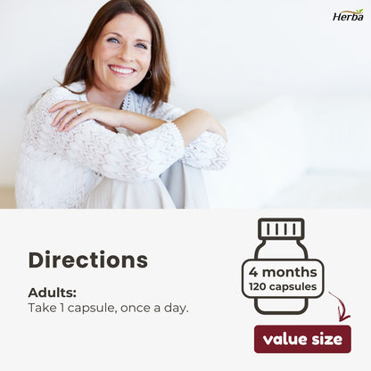 Gélules de champignon Chaga 400 mg - 120 gélules végétales | Concentré élevé 4:1