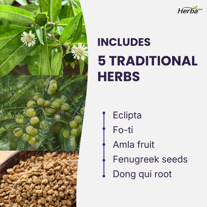 Hair Maxol 2 Hair Growth Vitamins with Biotin for Hair Growth for Men and Women