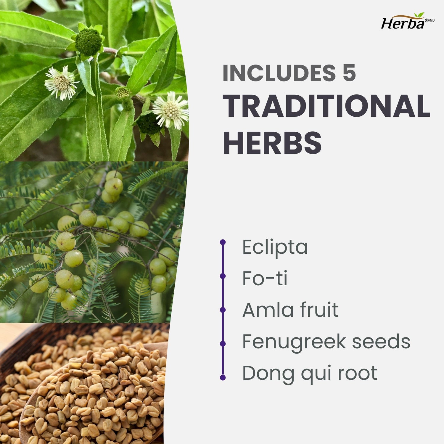 Hair Maxol 2 Hair Growth Vitamins with Biotin for Hair Growth for Men and Women