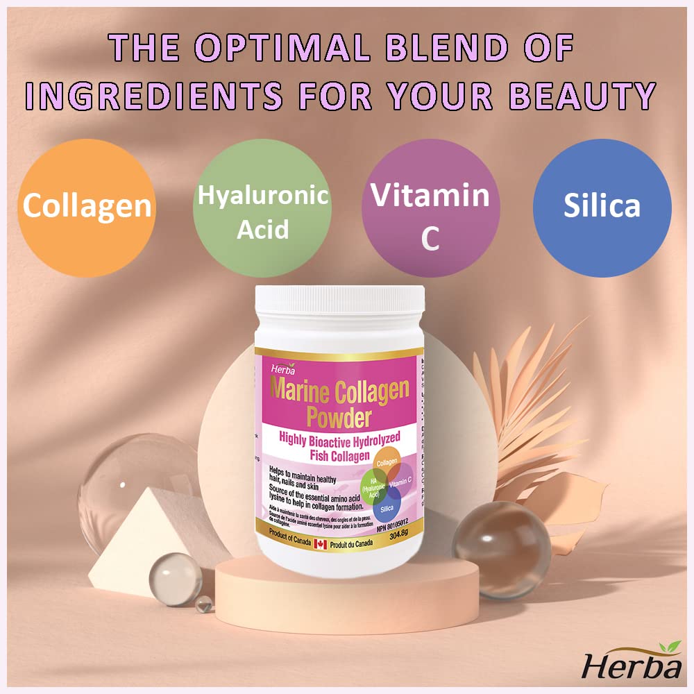 Herba Marine Collagen Powder with Hyaluronic Acid, Silica, and Vitamin C – 304.8g
